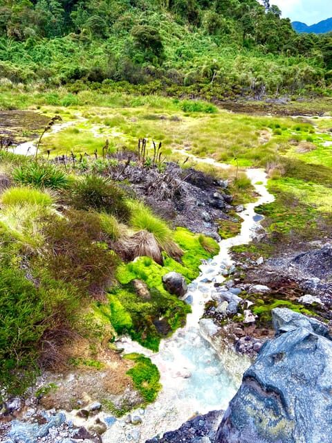 From Popayán: Day Trip to Puracé National Park - The Sum Up
