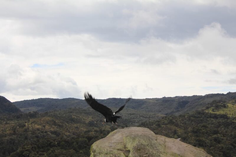 From Popayán: Day Trip to Puracé National Park - FAQ
