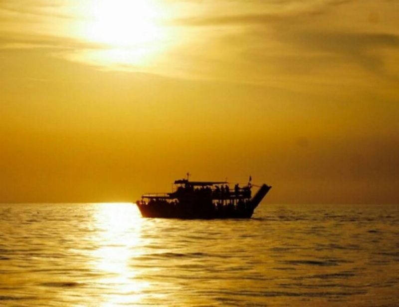 From Pore: Evening Dolphin Cruise with Welcome Drink - Setting the Scene: What’s the Experience Like?