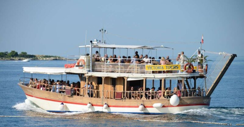 From Pore: Evening Dolphin Cruise with Welcome Drink - Who Will Love This Tour?