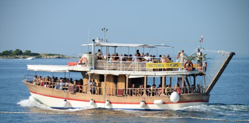 From Pore: Evening Dolphin Cruise with Welcome Drink - The Sum Up