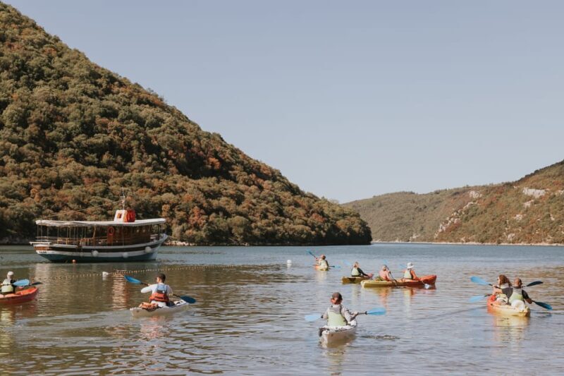 From Pore: Lim Bay Sea Kayaking Day Trip - Practical Details: What to Know Before You Go