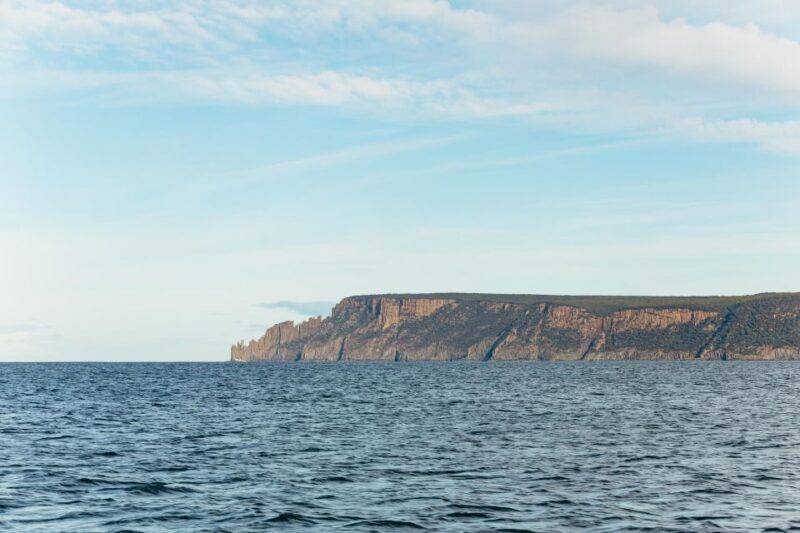From Port Arthur: Tasman Island Wilderness Cruise - A Deep Dive into the Wilderness: What to Expect