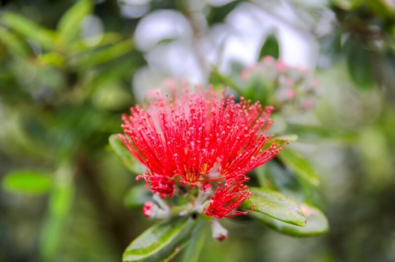 From Port Chalmers: Small Group Castle, Coast & City Tour - Final Thoughts