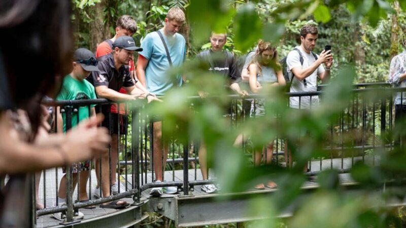 From Port Douglas: Daintree Rainforest & Mossman Gorge Tour - The Sum Up