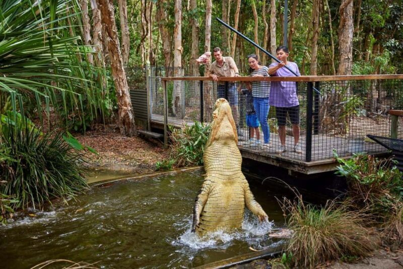From Port Douglas: Hartley's Crocodile Park, Skyrail & Train - Pricing and Value