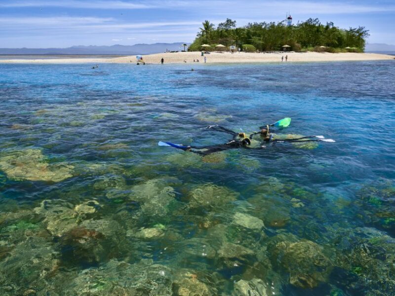 From Port Douglas: Low Isles Great Barrier Reef Sailing Tour - Key Points