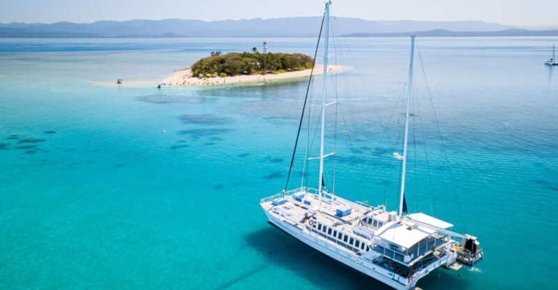 From Port Douglas: Low Isles Great Barrier Reef Sailing Tour - A Deep Dive into the Experience