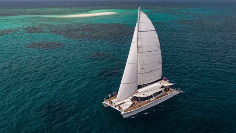 From Port Douglas: Outer Reef Cruise by Luxury Catamaran - Key Points