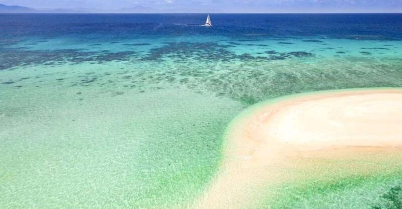 From Port Douglas: Outer Reef Cruise by Luxury Catamaran - An In-Depth Look at the Experience