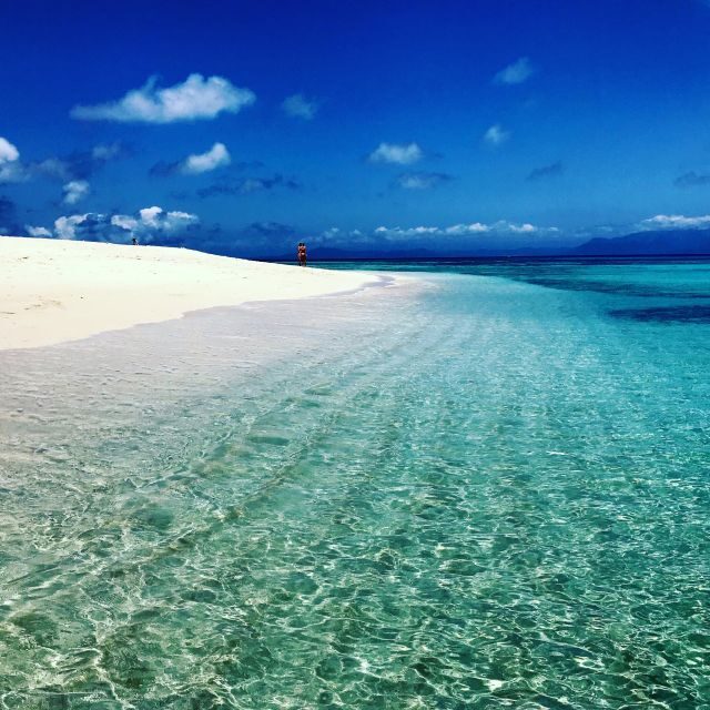 From Port Douglas: Outer Reef Cruise by Luxury Catamaran - Who Is This Tour Best For?