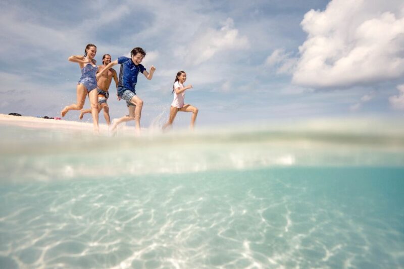 From Port Douglas: Outer Reef Cruise by Luxury Catamaran - The Sum Up