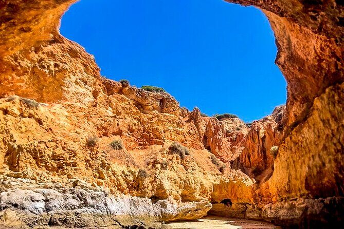 From Portimao to Paradise 60 min Private Tour - Who Will Love This Tour?