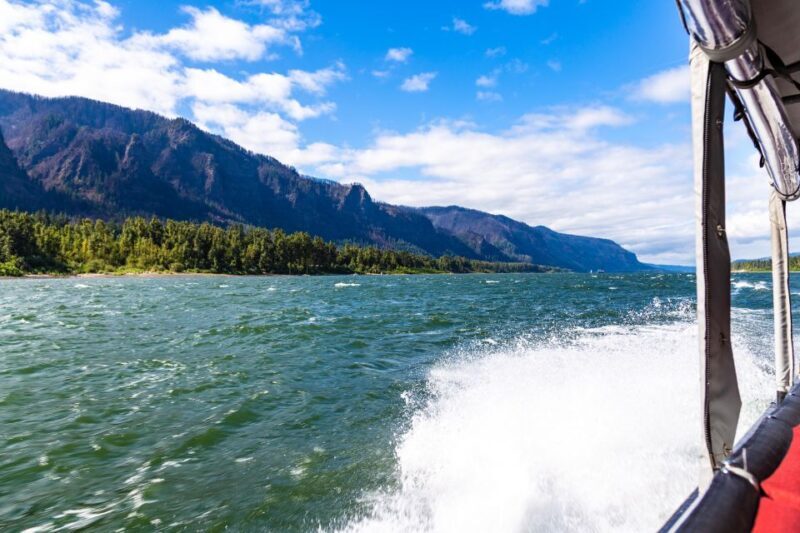 From Portland: Bigfoot Adventure 3.5-hour Jetboat Cruise - The Practicalities: What to Bring and Expect