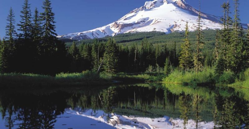 From Portland: Columbia Gorge Waterfalls and Mt. Hood Tour - Authenticity and Value