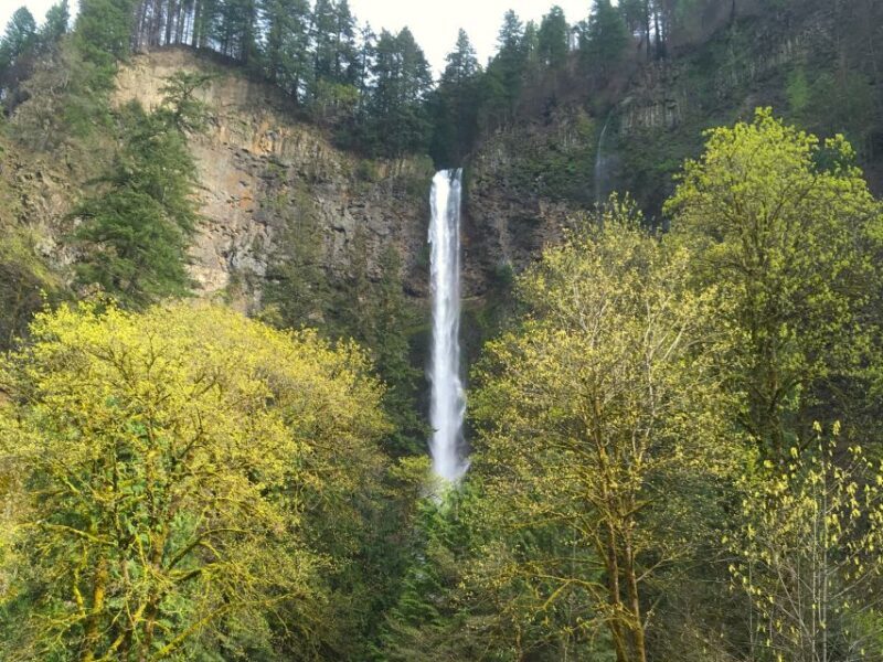 From Portland: Columbia Gorge Waterfalls Tour - An In-Depth Look at the Columbia Gorge Waterfalls Tour