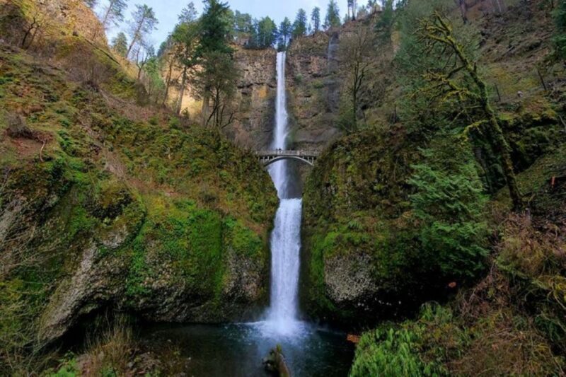 From Portland: Half-Day Columbia River Gorge Waterfalls Tour - An In-Depth Look at the Tour Experience