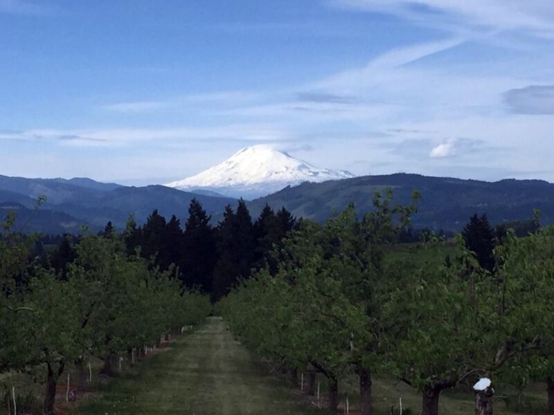 From Portland: Mt Hood, Hood River Valley and Columbia Gorge - Possible Drawbacks or Considerations