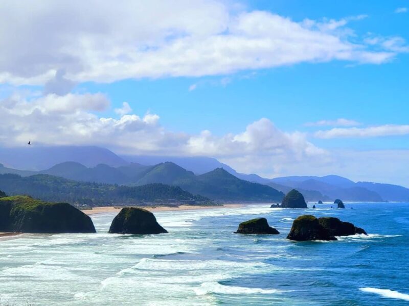 From Portland: Oregon Coast Adventure Day Tour with Pickup - Who Would Enjoy This Tour the Most?