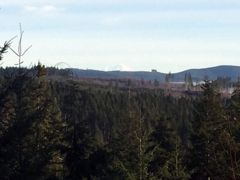 From Portland: Oregon Coast Day Trip Cannon Beach Area - FAQ