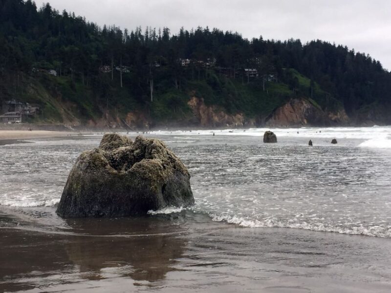 From Portland: Oregon Coast Day Trip to Three Capes Loop - Key Points