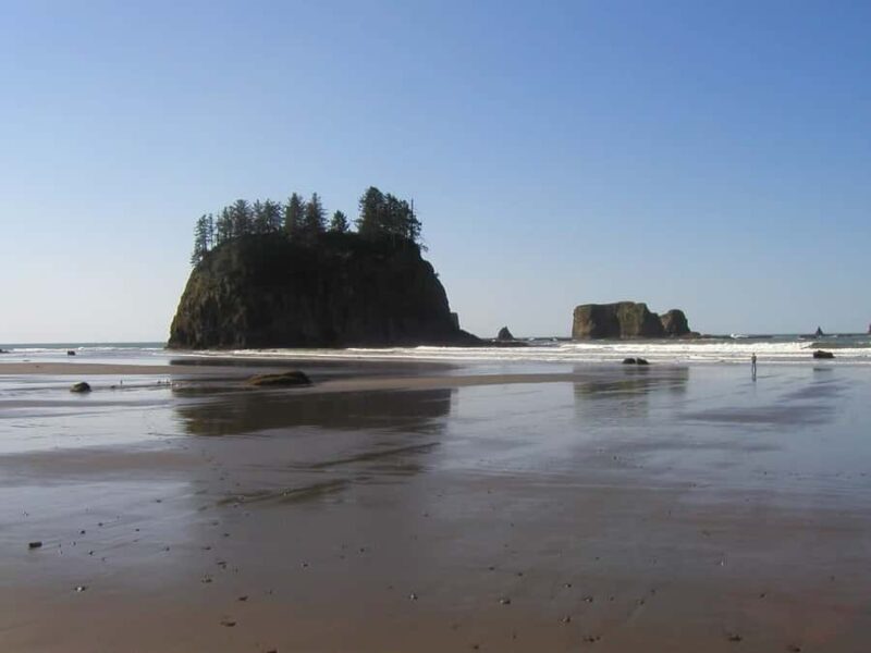 From Portland: Oregon Coast Scenic Day Tour - Key Points