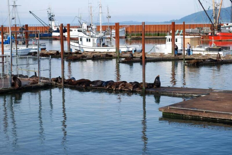 From Portland: Oregon Coast Scenic Day Tour - Why This Tour Offers Real Value