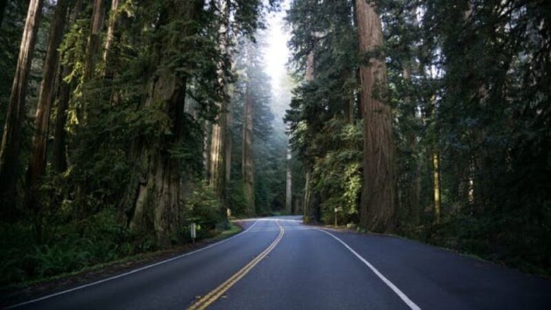 From Portland: Oregon Coast Tour - What’s Included and What’s Not