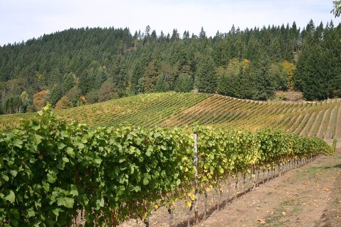 From Portland Private Willamette Valley Wine Tour - Frequently Asked Questions (FAQs)