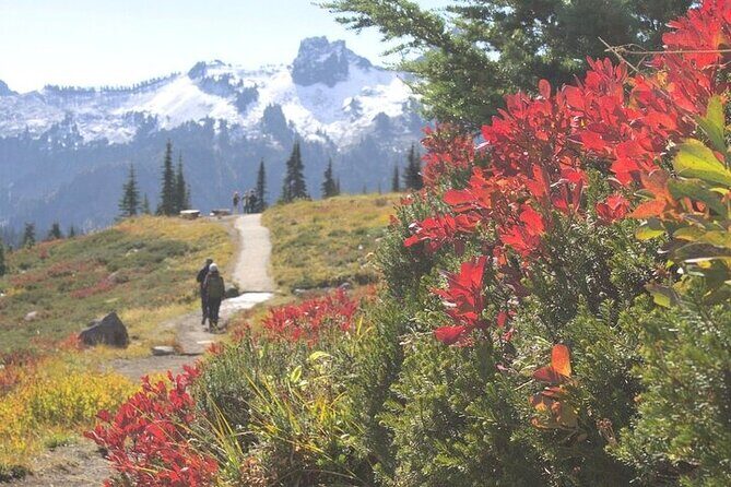 From Portland to Mt. Rainier Tour in a Small Group - Who Should Consider This Tour?