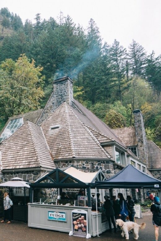 From Portland: Waterfalls, Mt Hood, and Wine Day Tour - A Detailed Look at Your Oregon Day Trip