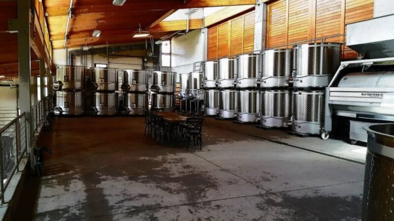 From Portland: Willamette Valley Full-Day Wine Tour - Final Thoughts