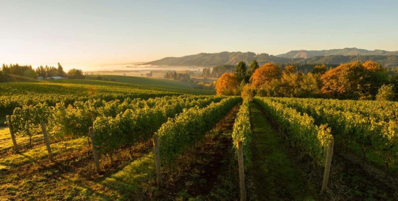 From Portland: Willamette Valley Wine Tasting Tour - FAQs