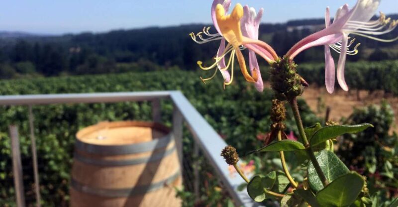 From Portland: Willamette Valley Wine & Whisky - The Landscape and Atmosphere