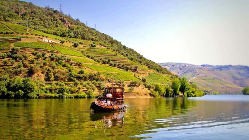 From Porto: 2 Wine Regions, Farm Lunch, and Boat Ride - Experience the Douro Valley: Vineyards, River Cruise, and Farm Lunch