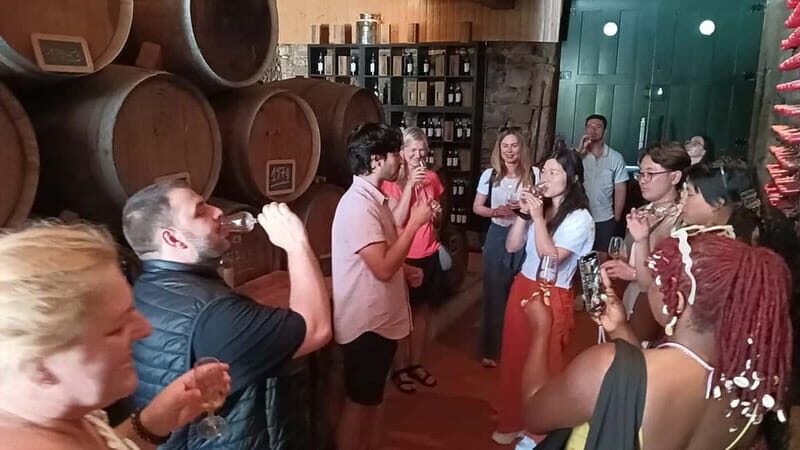 From Porto: 2 Wine Regions, Farm Lunch, and Boat Ride - Authenticity and Personal Touch