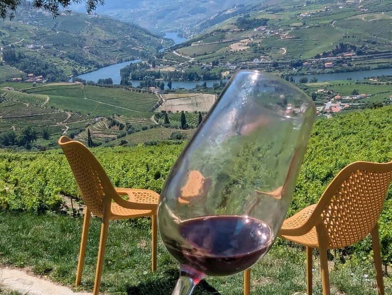 From Porto: 2 Wine Regions, Farm-to-Table Lunch & Boat - Final Thoughts
