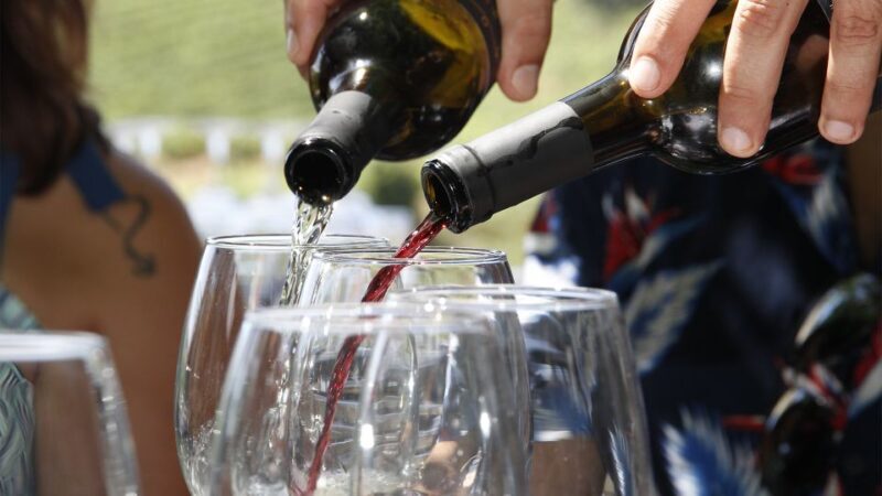 From Porto: 3 Wine Regions and farm lunch with views. - Discover the Heart of Portugal’s Douro Valley in a Day