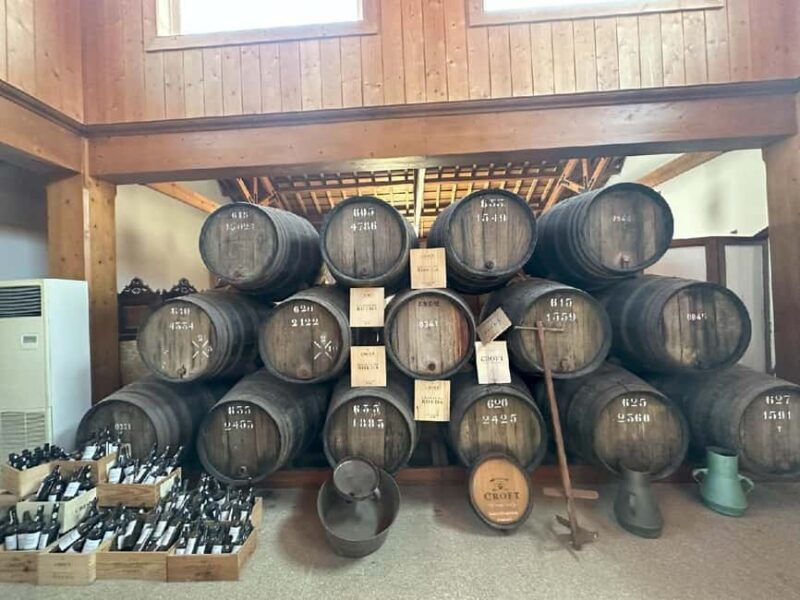 From Porto: 3 Wine Regions and farm lunch with views. - Final Thoughts