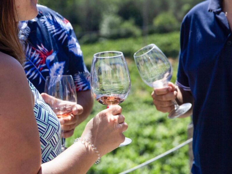 From Porto: 3 Wine Regions and farm lunch with views. - Frequently Asked Questions