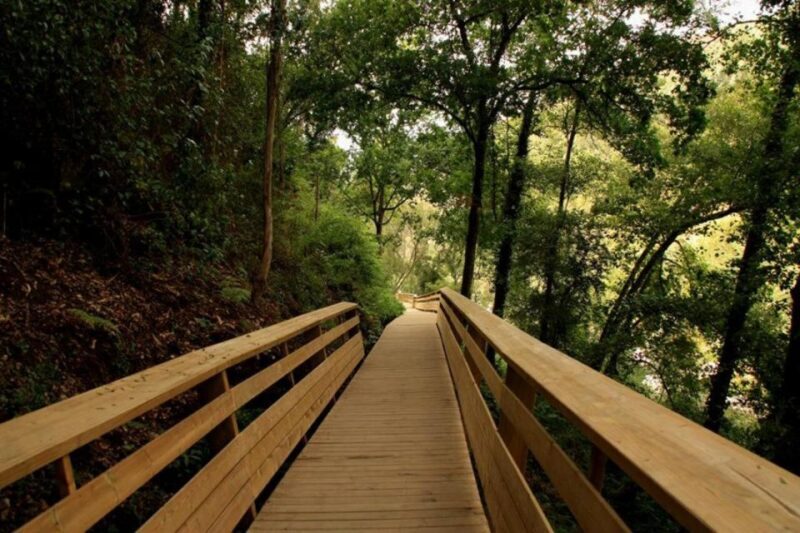 From Porto: 516 Arouca Bridge and Paiva Walkways Guided Tour - Final Thoughts
