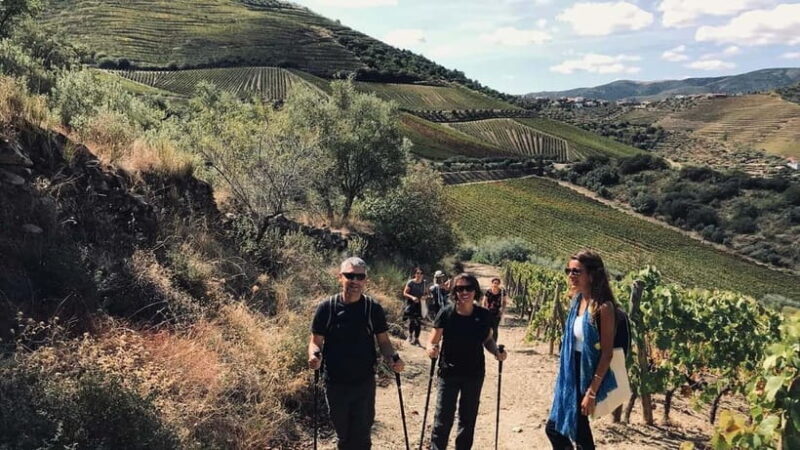 From Porto a private experience to Niepoort with lunch there - The Experience in Detail