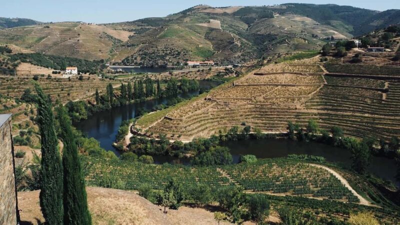 From Porto a private experience to Niepoort with lunch there - Who Should Consider This Tour?