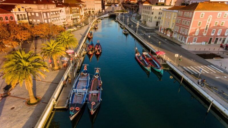 From Porto: Aveiro and Coimbra Private Tour - Key Points