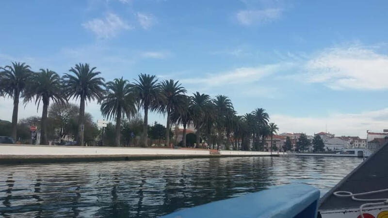 From Porto: Aveiro & Coimbra Tour with Moliceiro Boat Cruise - A Detailed Look at the Tour Experience