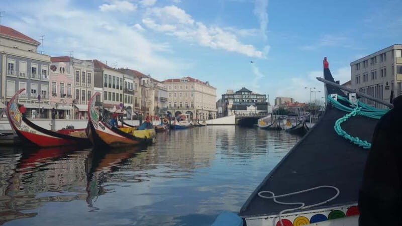 From Porto: Aveiro & Coimbra Tour with Moliceiro Boat Cruise - What makes this tour stand out?