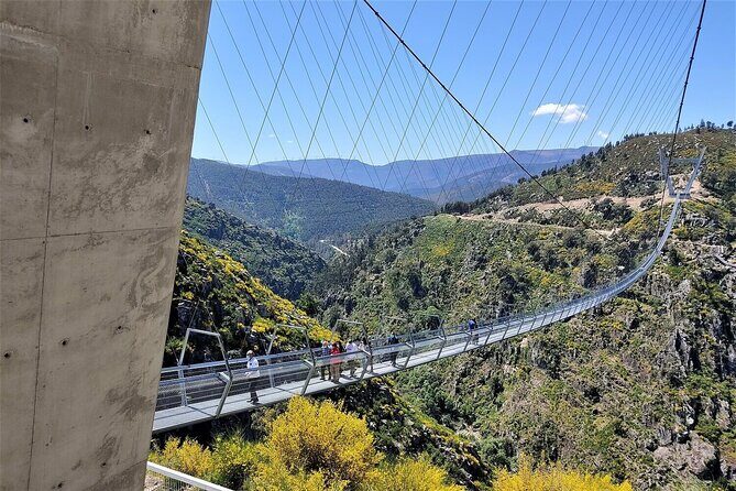 From Porto: Aveiro, Paiva Walkways, Suspension Bridge and Lunch - Detailed Review of the Full-Day Tour: Porto to Arouca, Aveiro, and Costa Nova