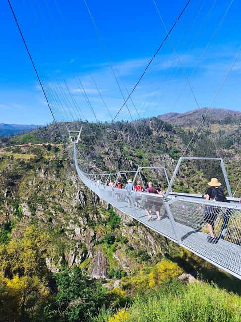 From Porto: Aveiro, Paiva Walkways, & Suspension Bridge Tour - Key Points