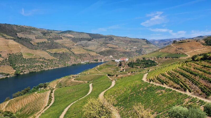 From Porto Day Douro Valley Wine Tour 2 Wine Tasting & Lunch - FAQ