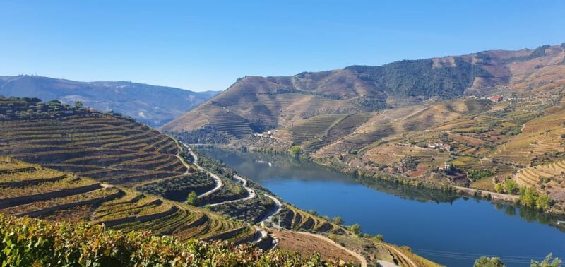 From Porto Day Douro Valley Wine Tour 2 Wine Tasting & Lunch - Final Thoughts